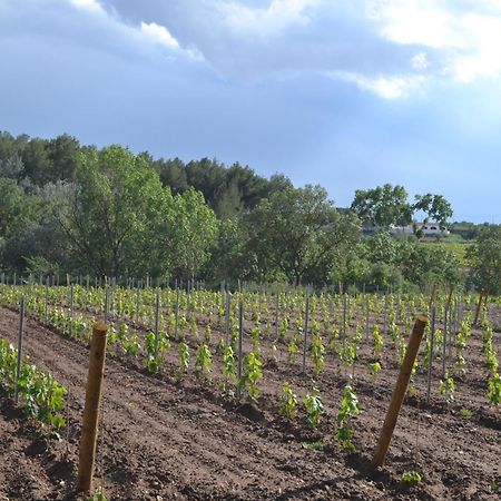 Vila Casa Cal Tofol Font-Rubi Exteriér fotografie
