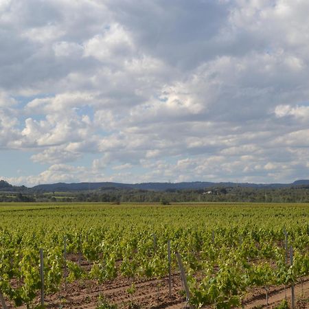 Vila Casa Cal Tofol Font-Rubi Exteriér fotografie