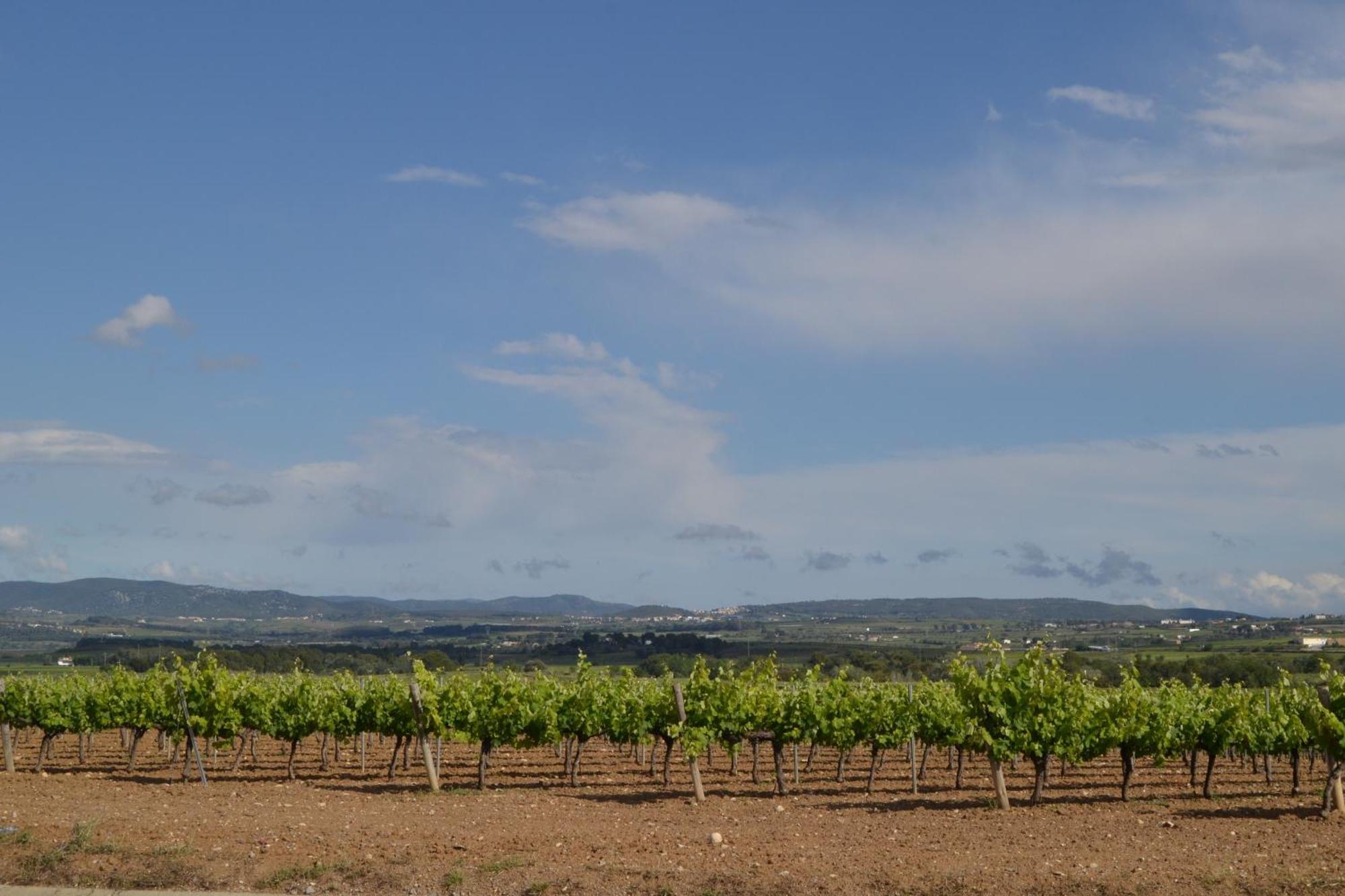 Vila Casa Cal Tofol Font-Rubi Exteriér fotografie